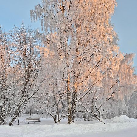Tilava Uudistettu Perheasunto Appartement Rovaniemi Buitenkant foto