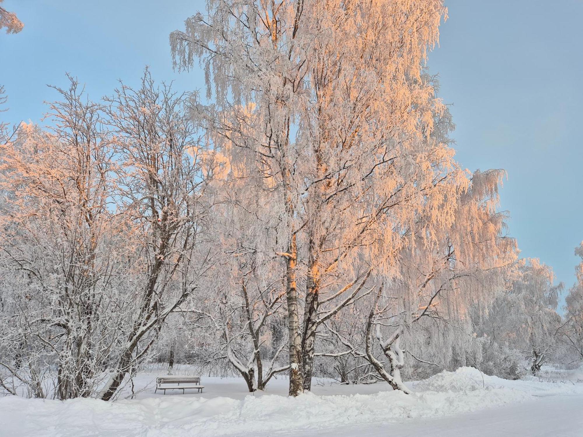 Tilava Uudistettu Perheasunto Appartement Rovaniemi Buitenkant foto